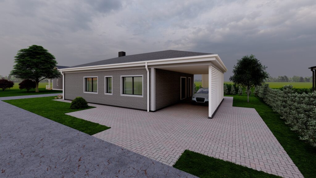 Vizualizacija. Vieno aukšto 113m² ploto namas soduose