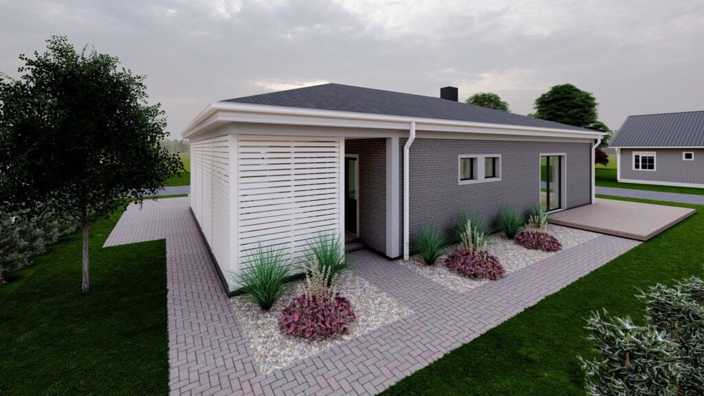 Vizualizacija. Vieno aukšto 113m² ploto namas soduose